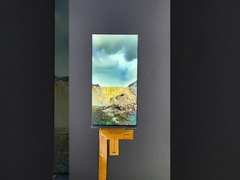 6 بوصة 1080*2160 دقة لوحة LCD TFT وحدة MIPI واجهة القيادة IC HX8399C