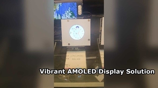 1.75 جولة AMOLED 466X466