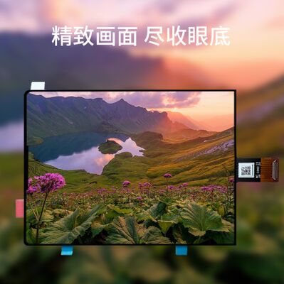 China 3.92 Inch AMOLED Display Module with 1080×1240 resolution MIPI Interface and 500 cd/M2 Brightness with distributor price