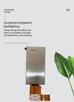 5.5 inch IPS TFT LCD Module with 480RGBx960 Resolution and RGB Interface