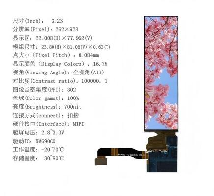 3.23 Inch AMOLED Display Module with 700 cd/m² Brightness and 262RGBx928 Resolution