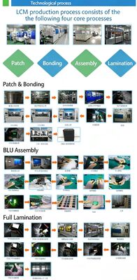 8.0 Inch IPS TFT Display 800X(RGB)*1280 Resolution MIPI 4T Interface Driver IC GT911 450nit  21LEDS ALL View Car Monitor